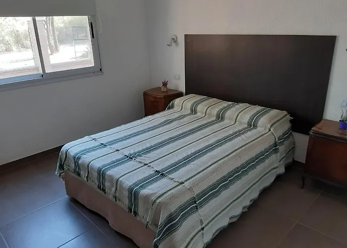 Indigo Cch